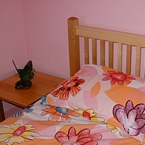 Arts & Craft Single Bed